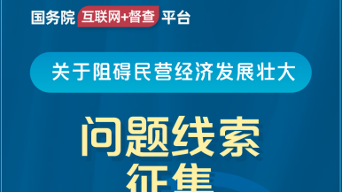 se管bbw国务院“互联网+督查”平台公开征集阻碍民营经济发展壮大问题线索